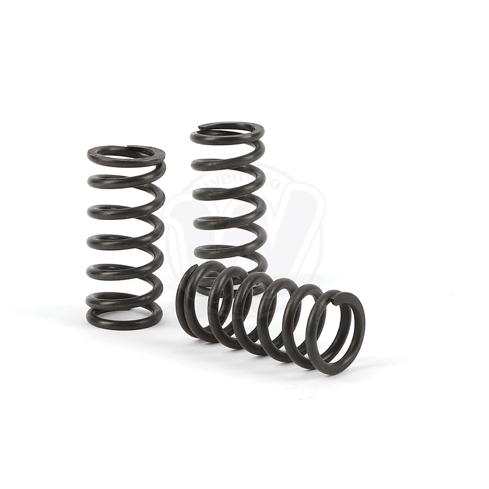 0LH8933_TRK Clutch Spring Kits 3.jpg